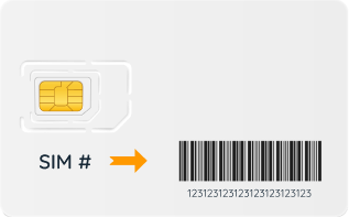 Sim card